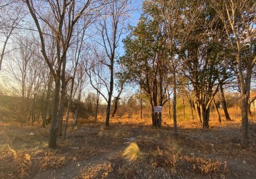 LOTE A METROS DEL RIO